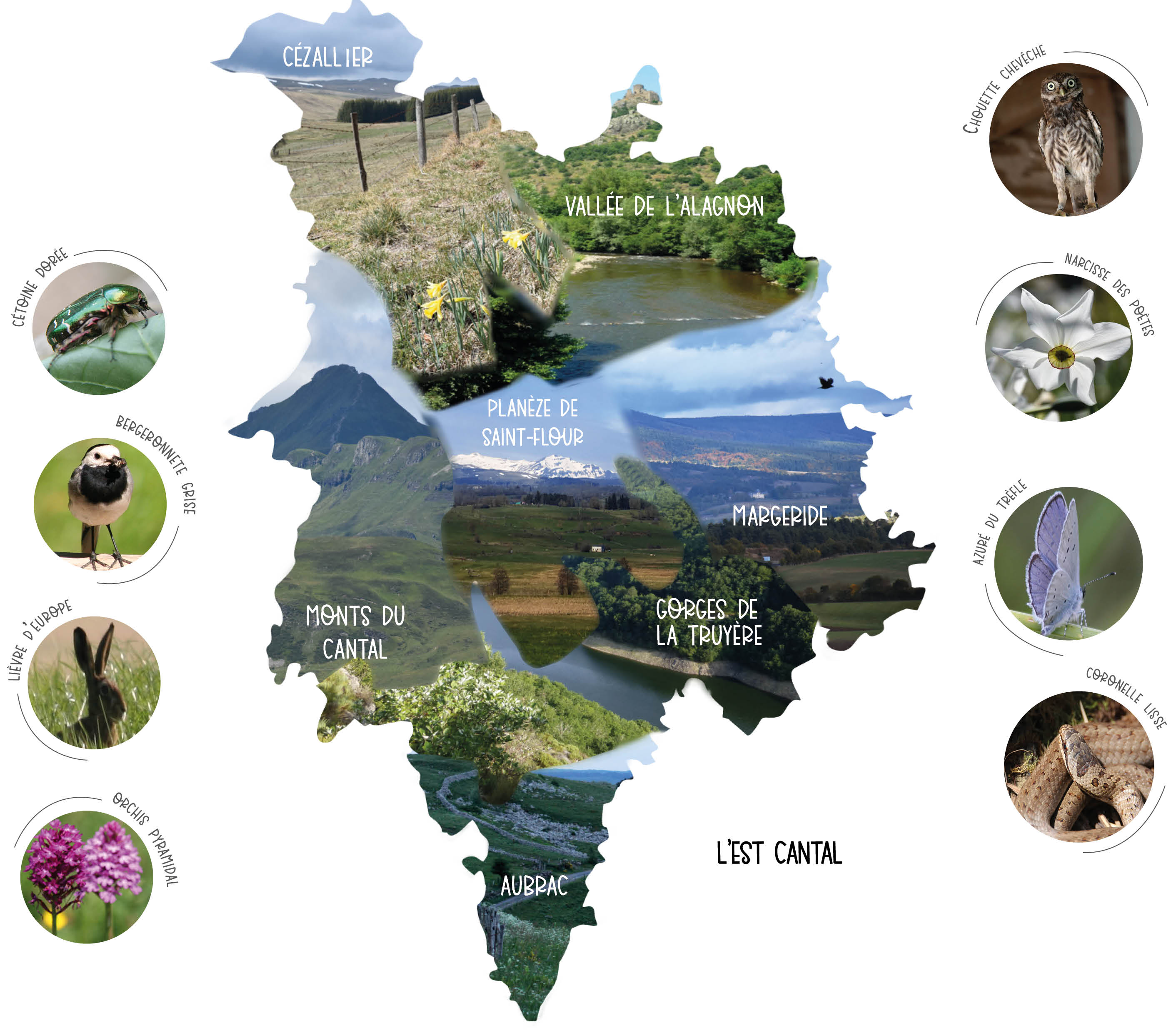 Biodiv'Est Cantal